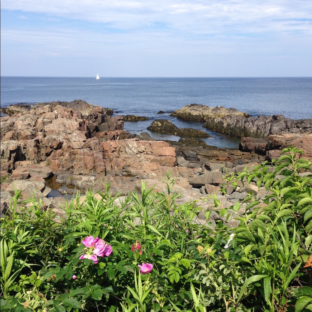 Meet your Posher, seashorethrift